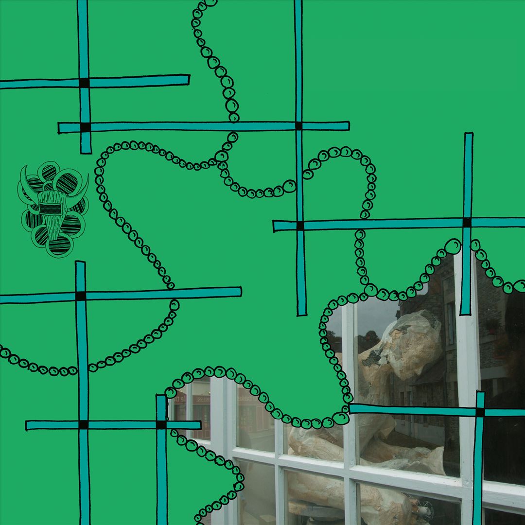 To Make a Fool Ask, And You Are the First cover art