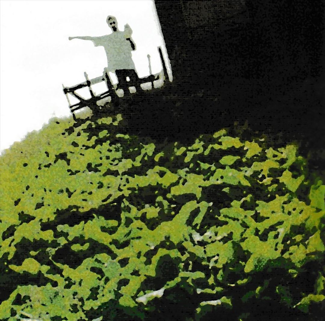 In Die Wiese Legen cover art