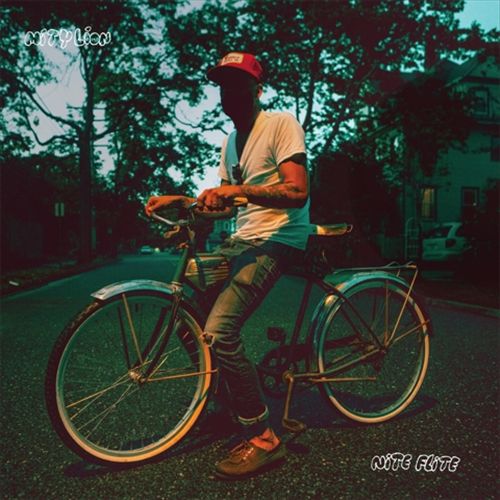 Nite Flite cover art
