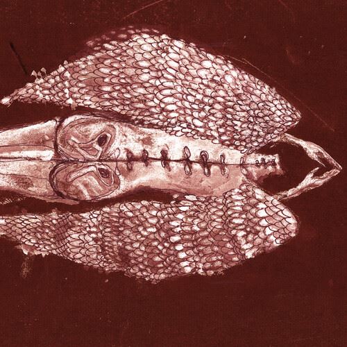 Homb cover art