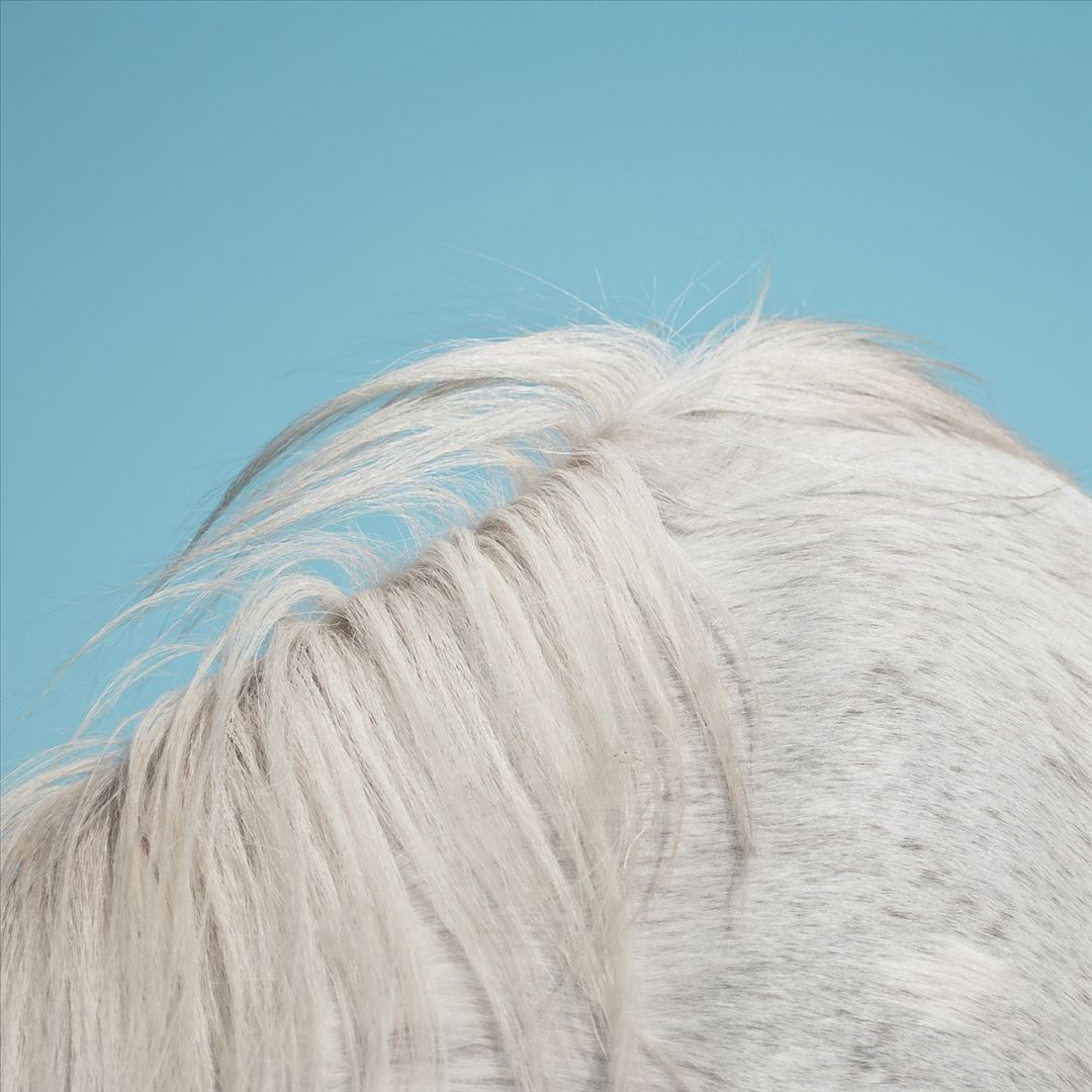All Yours cover art