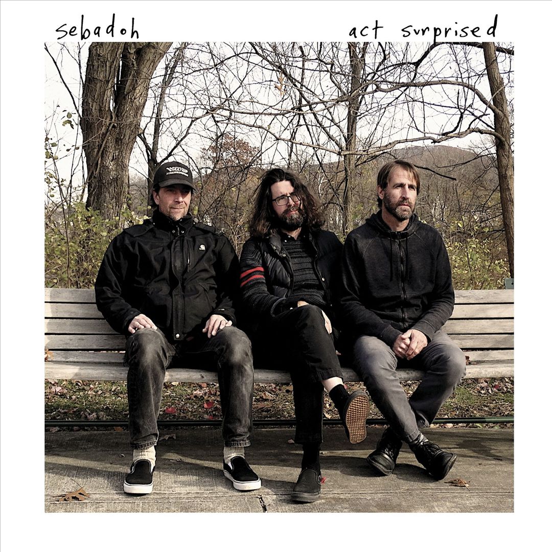 Act Surprised cover art