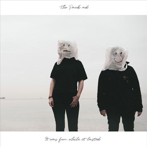 It Was Fun While It Lasted cover art