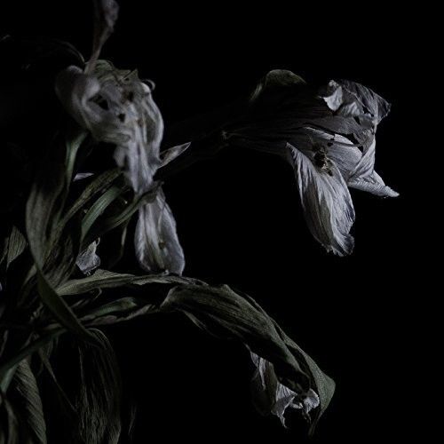 As We Cup Our Hands & Drink From the Stream of Our cover art