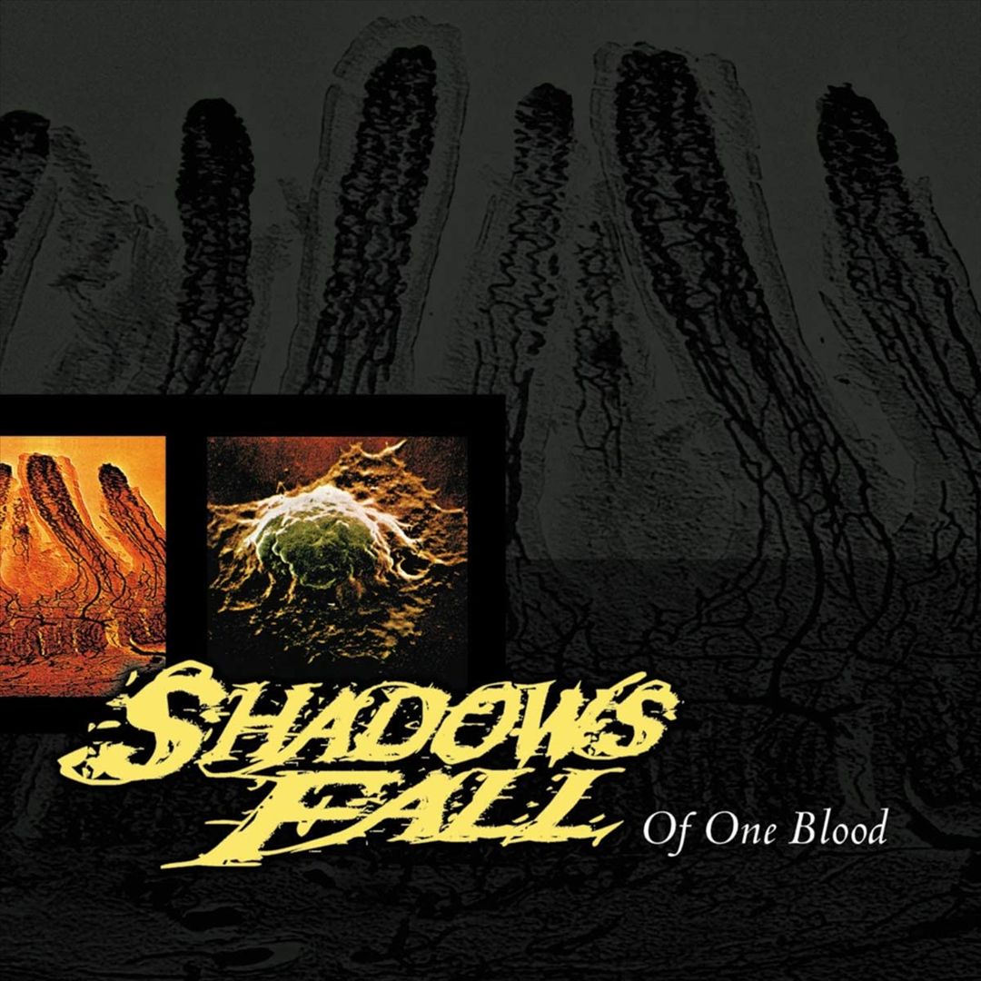 Of One Blood cover art
