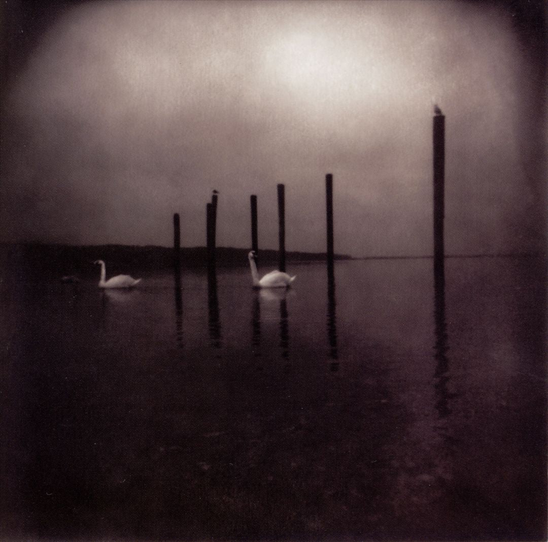 Conference of the Birds cover art