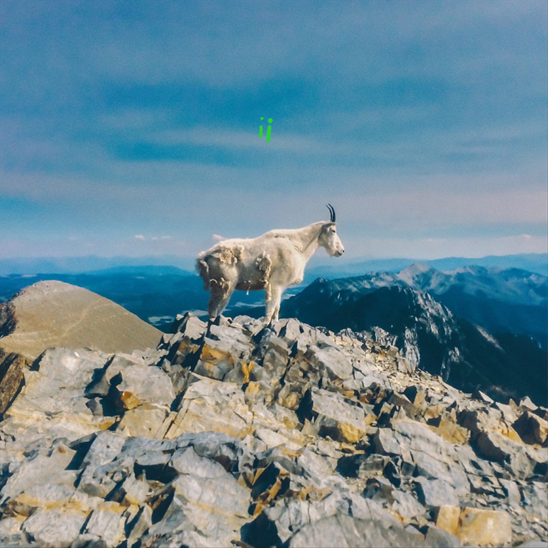 ii cover art