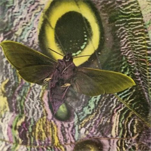 Pay Attention cover art