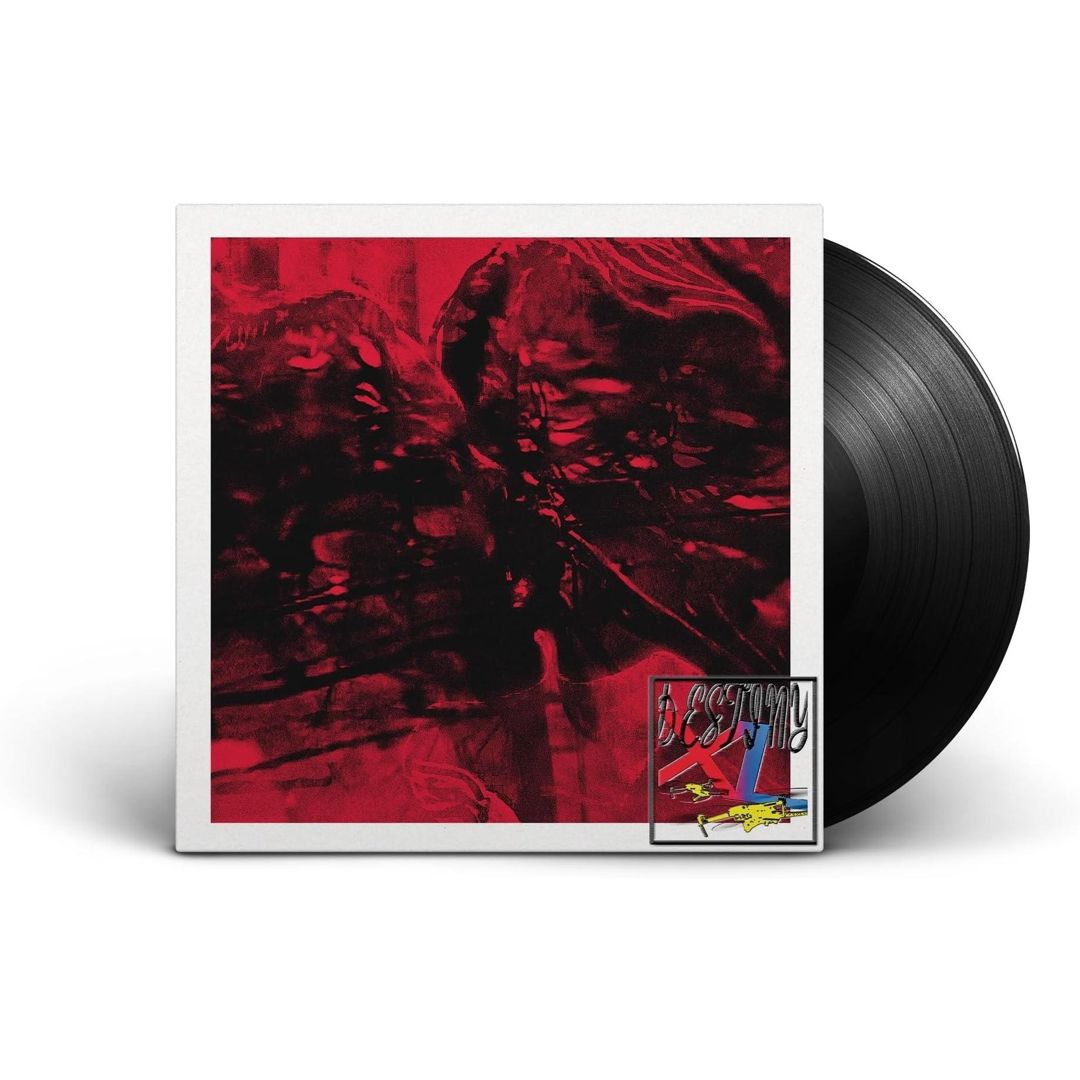 Destiny XL cover art