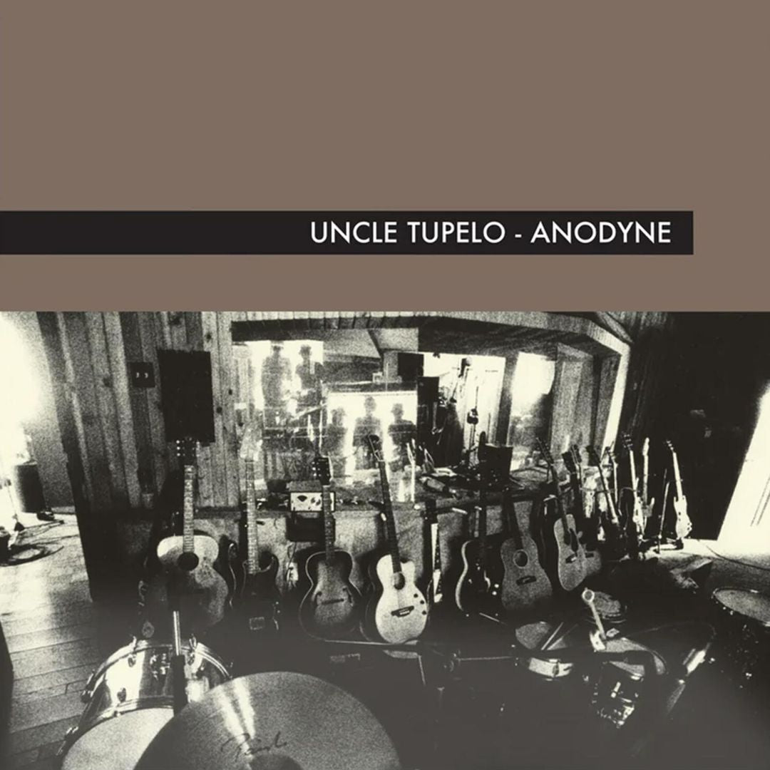 Anodyne cover art