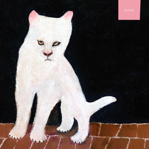 Duster cover art