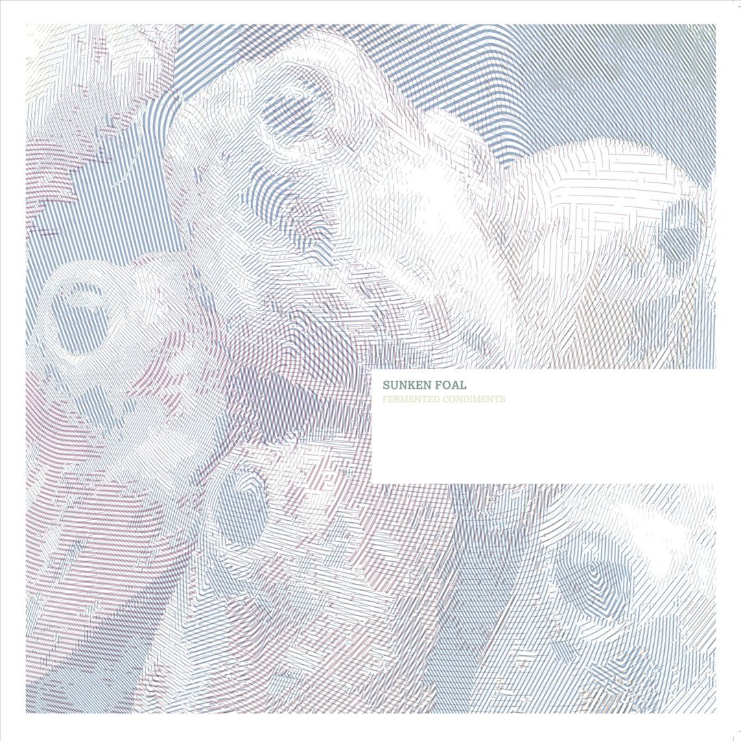 Fermented Condiments cover art