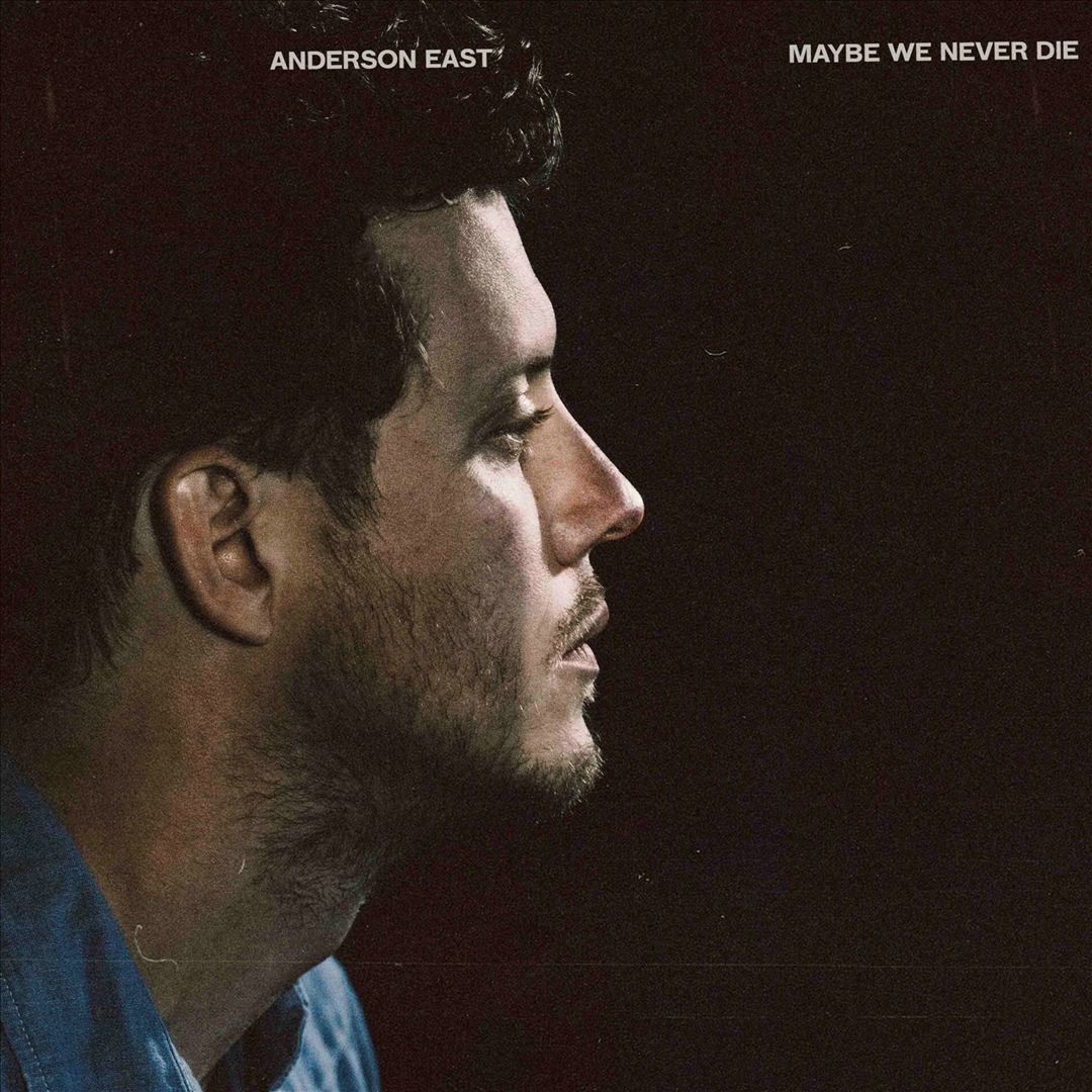 Maybe We Never Die cover art