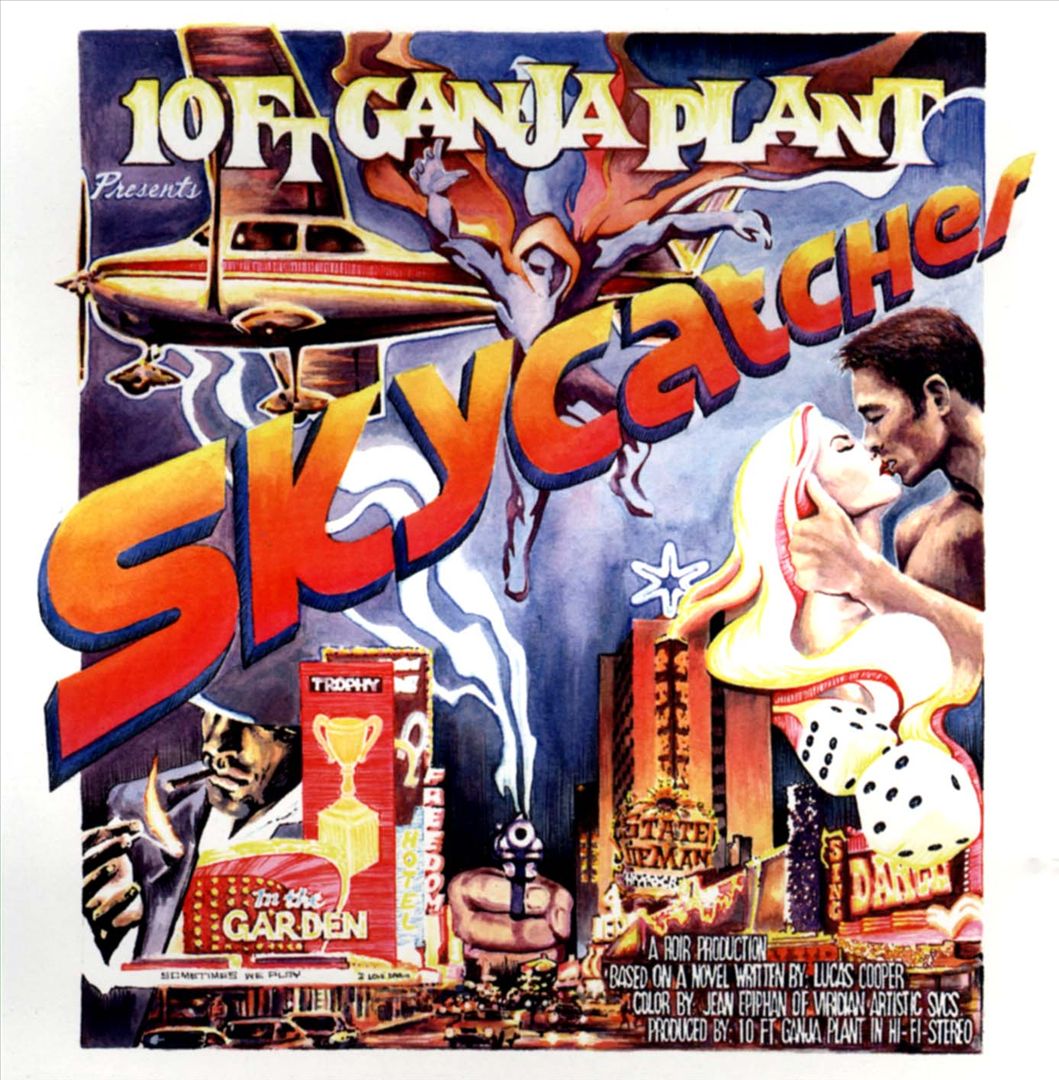 Skycatcher cover art
