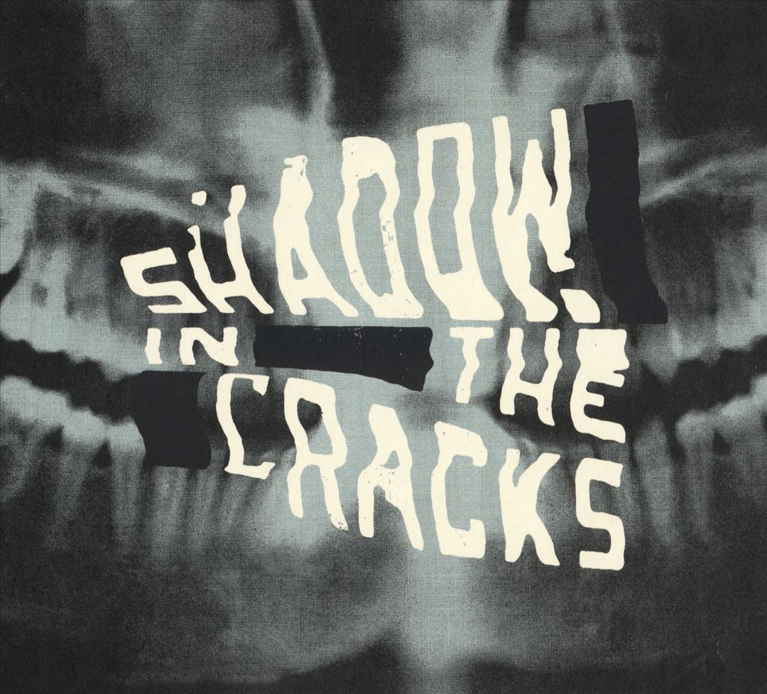 Shadow in the Cracks cover art