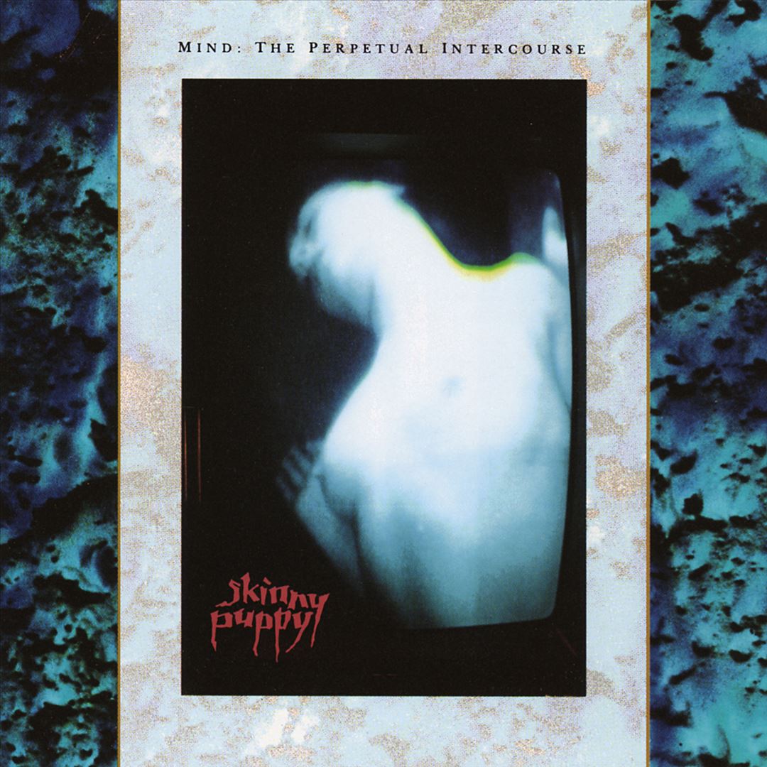 Mind: The Perpetual Intercourse cover art
