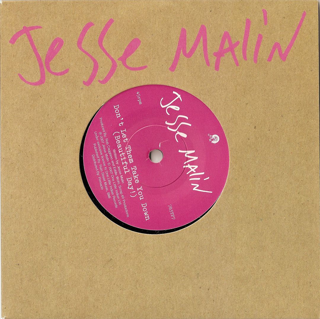 Don't Let Them Take You Down (Beautiful Day) cover art