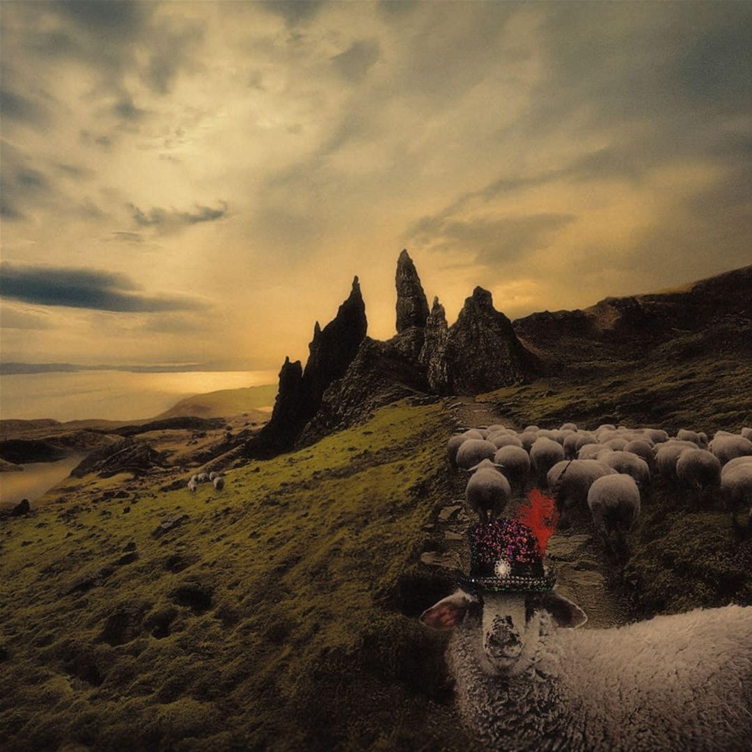 Sheeple cover art