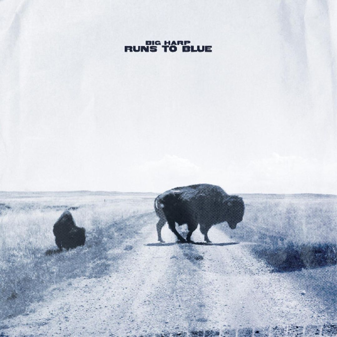 Runs to Blue cover art