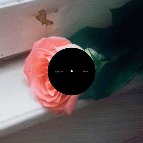 Blooom cover art