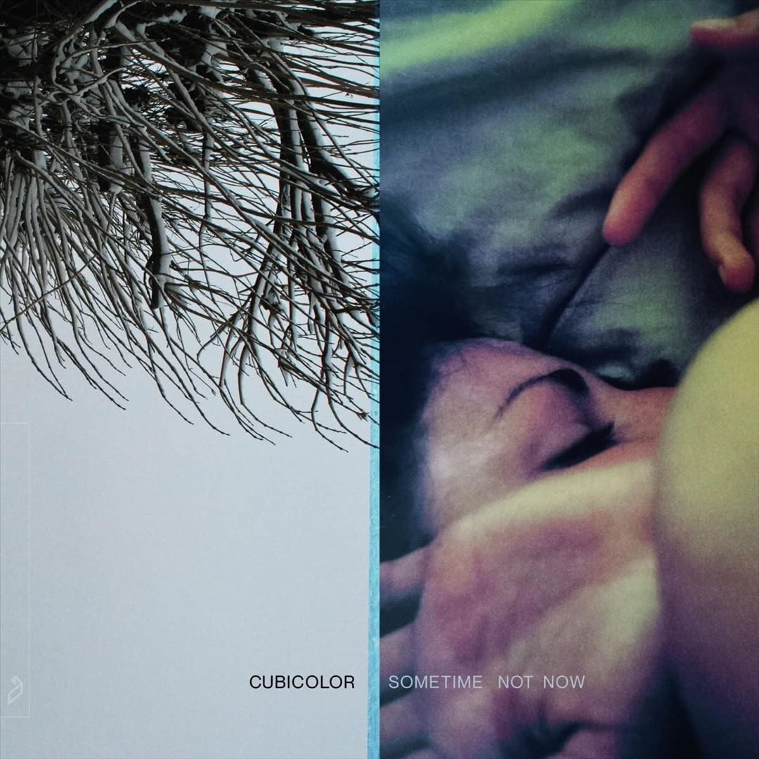 Sometime Not Now cover art