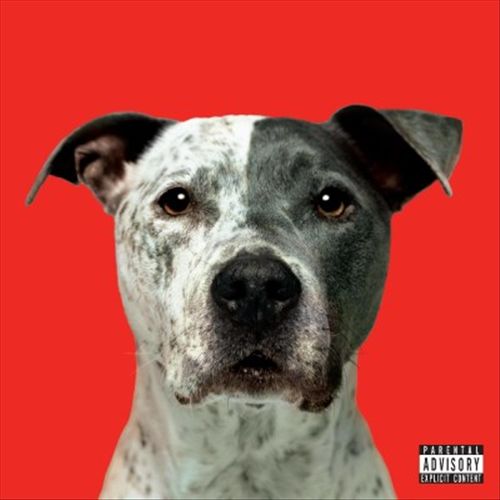 Flight cover art
