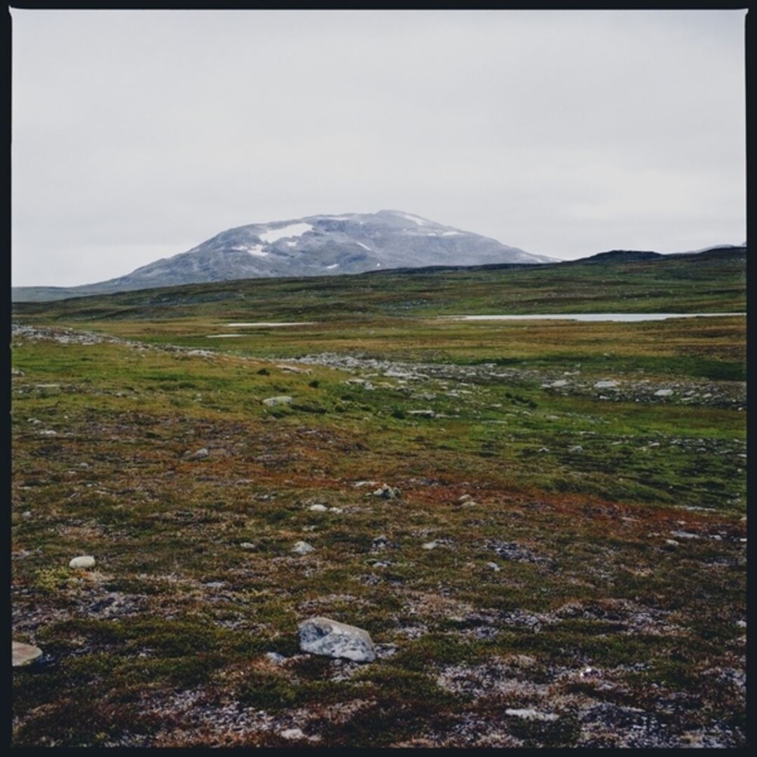 Tundra cover art