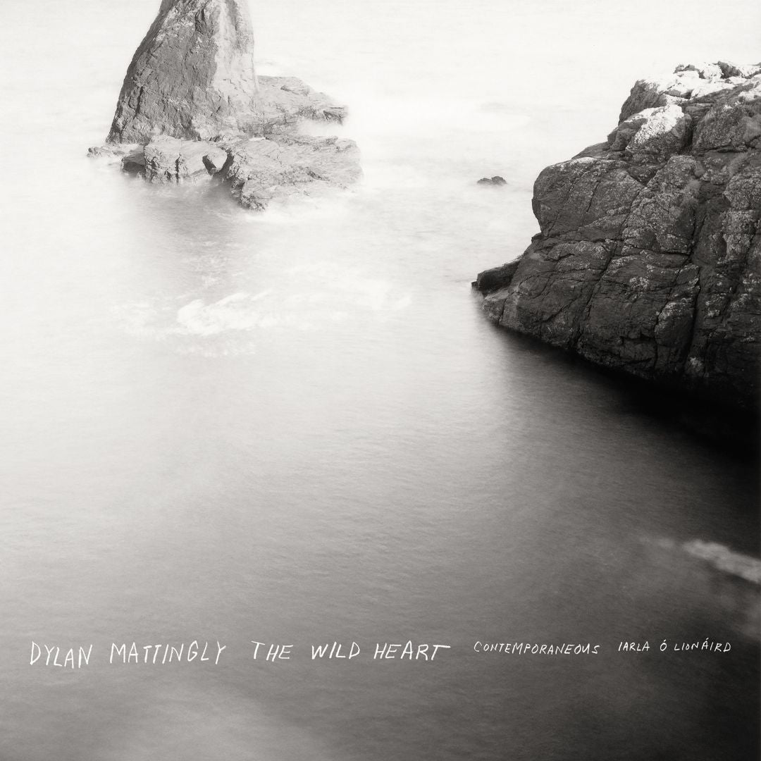Dylan Mattingly: The Wild Heart cover art