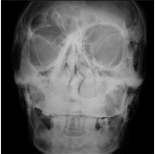 Khola Cosmica cover art