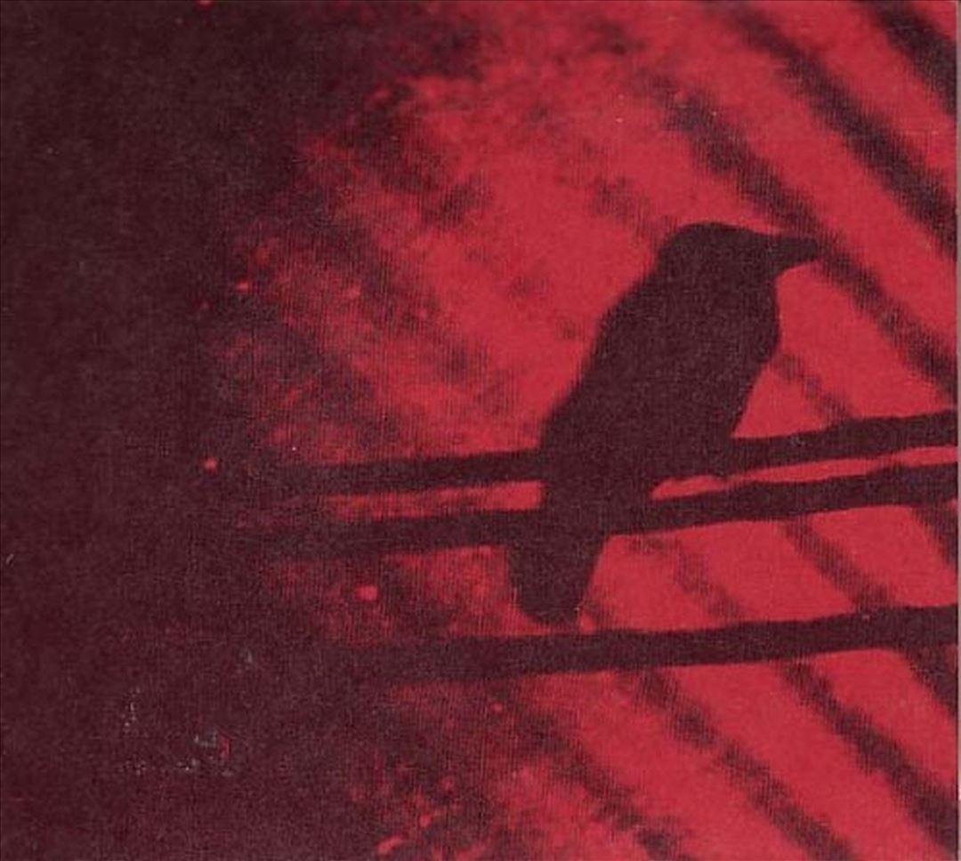 Born into Trouble as the Sparks Fly Upward cover art