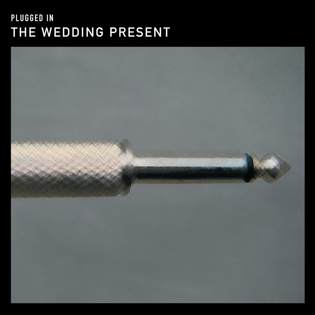 Plugged In: An Evening at Shepherds Bush cover art