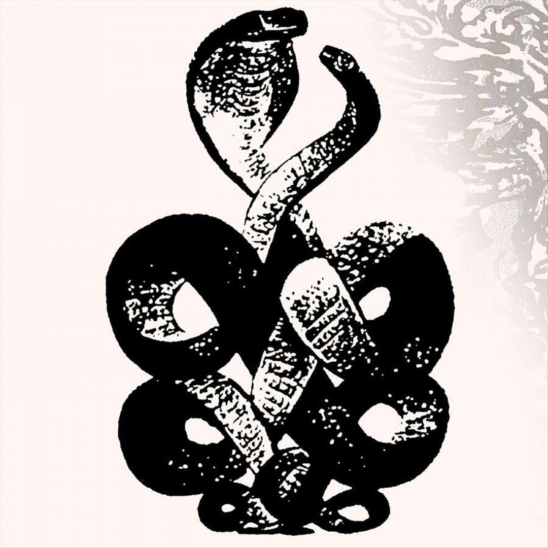 Volume 4 & 5 cover art