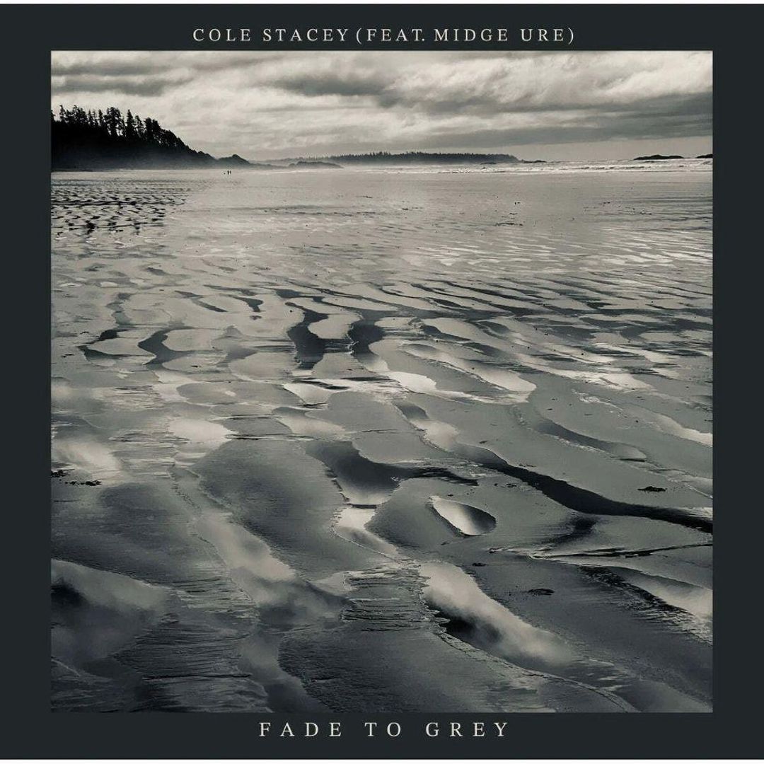 Fade to Grey  cover art