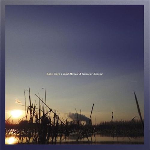 I Had Myself a Nuclear Spring cover art