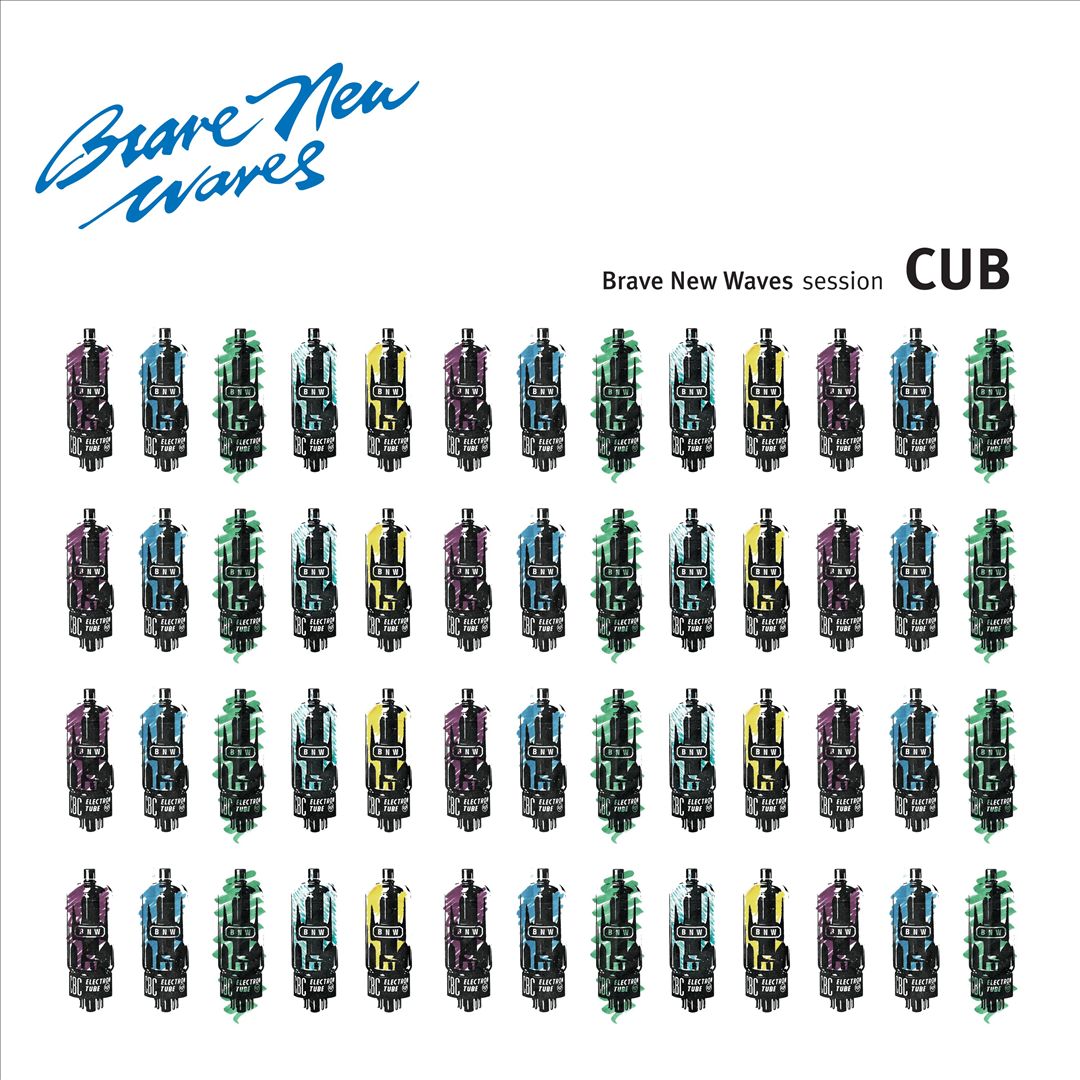 Brave New Waves Session cover art