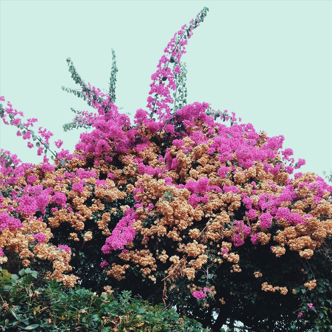 Turn Into cover art