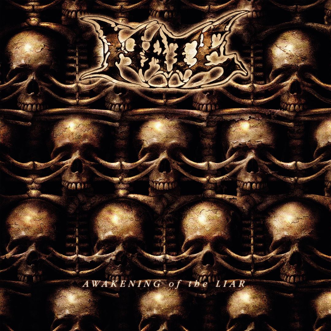 Awakening of the Liar cover art