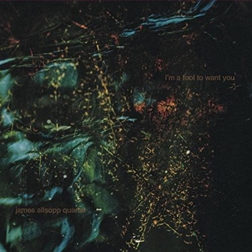 I'm a Fool to Love You cover art