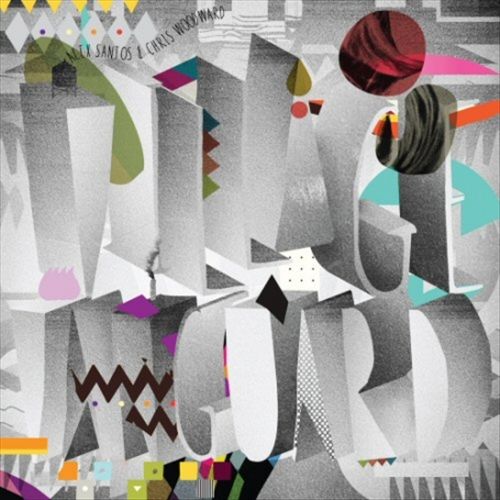 Village Vanguard cover art