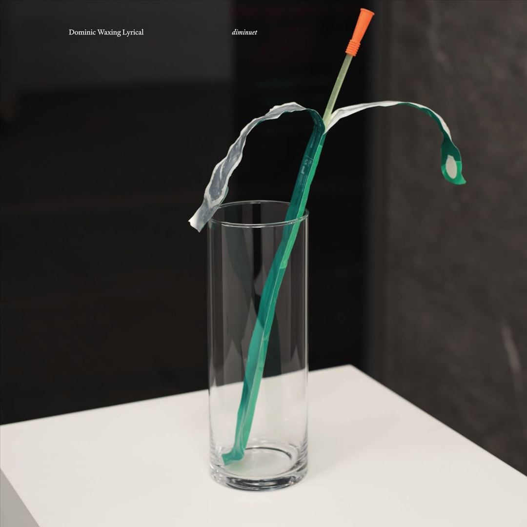 Diminuet cover art