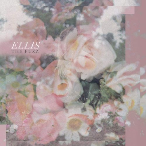 Fuzz cover art