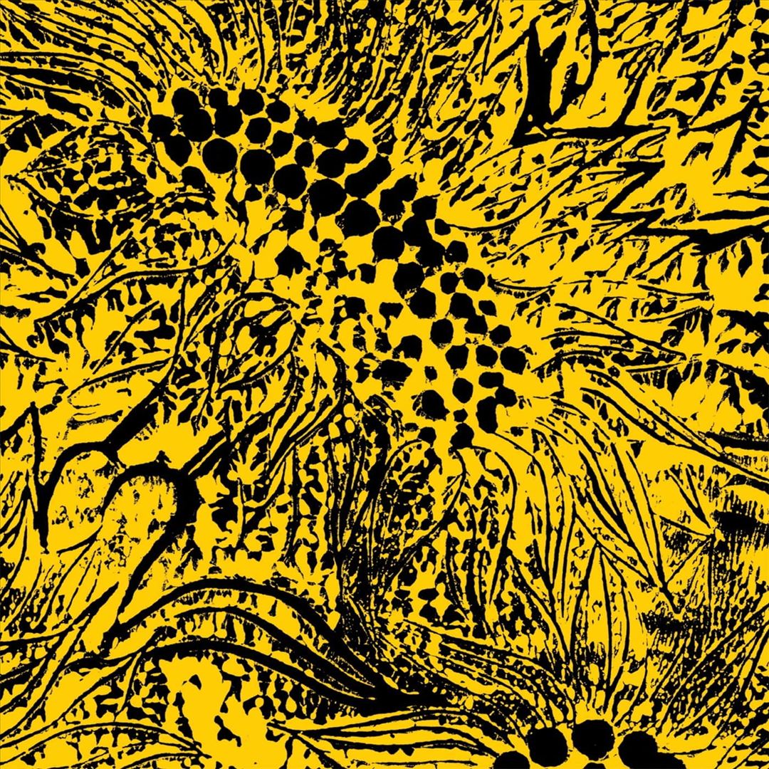 Little Sunflower cover art