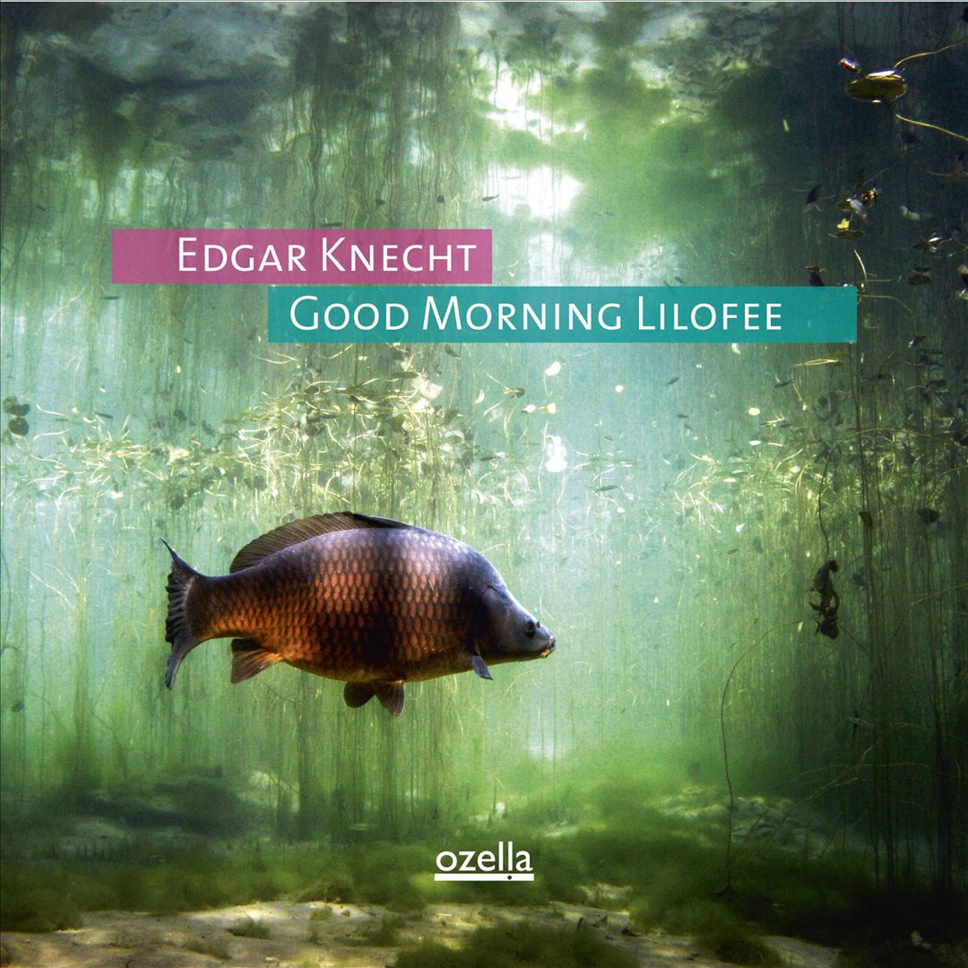 Good Morning Lilofee cover art