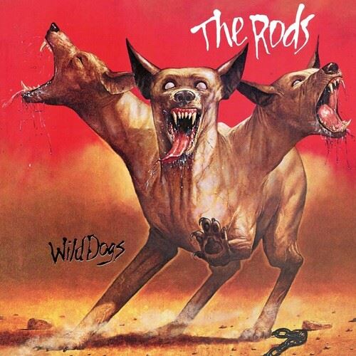 Wild Dogs cover art
