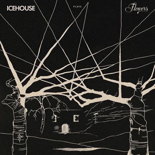 Icehouse Plays Flowers cover art