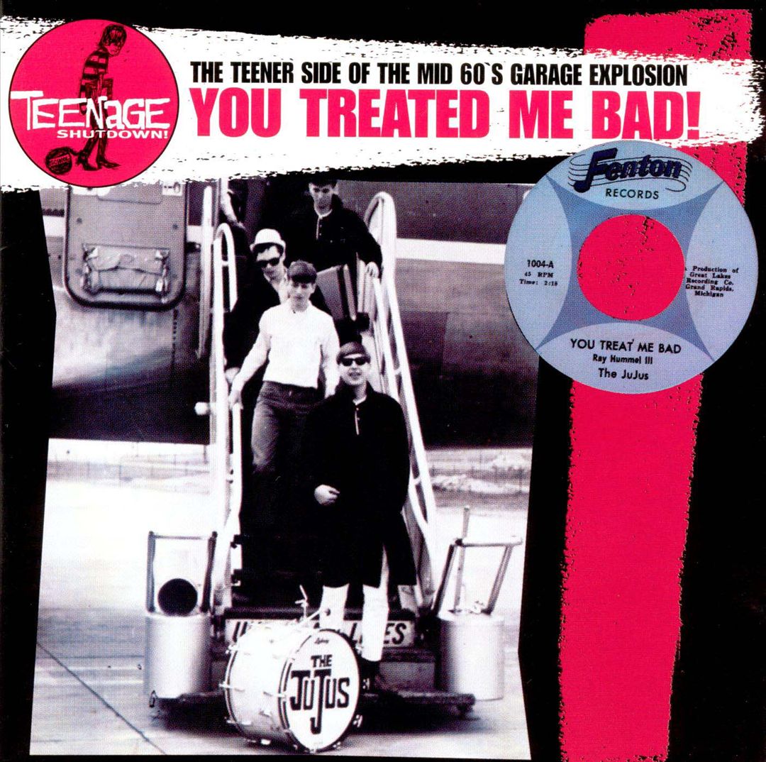 Teenage Shutdown: You Treated Me Bad! cover art