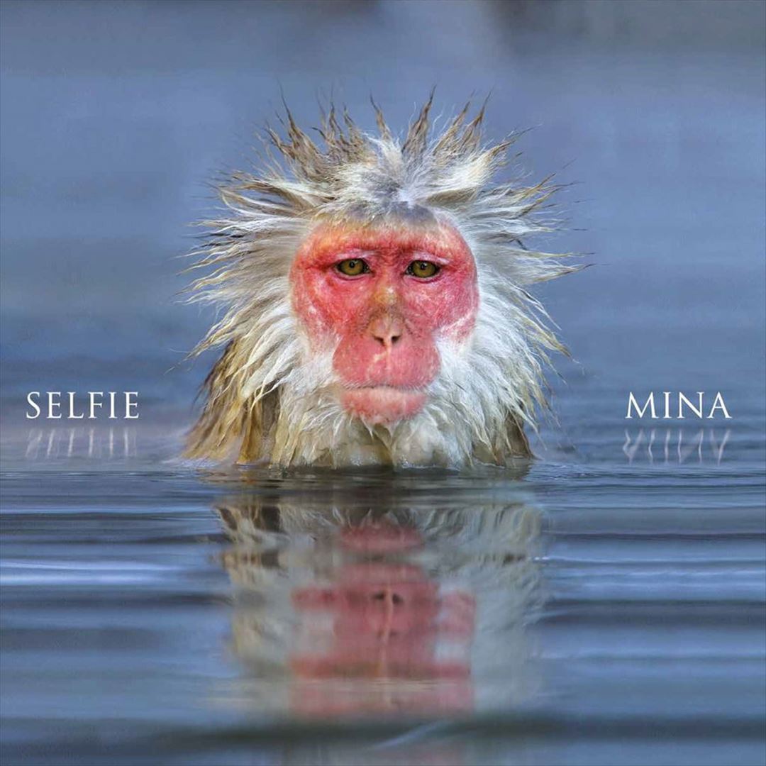 Selfie cover art