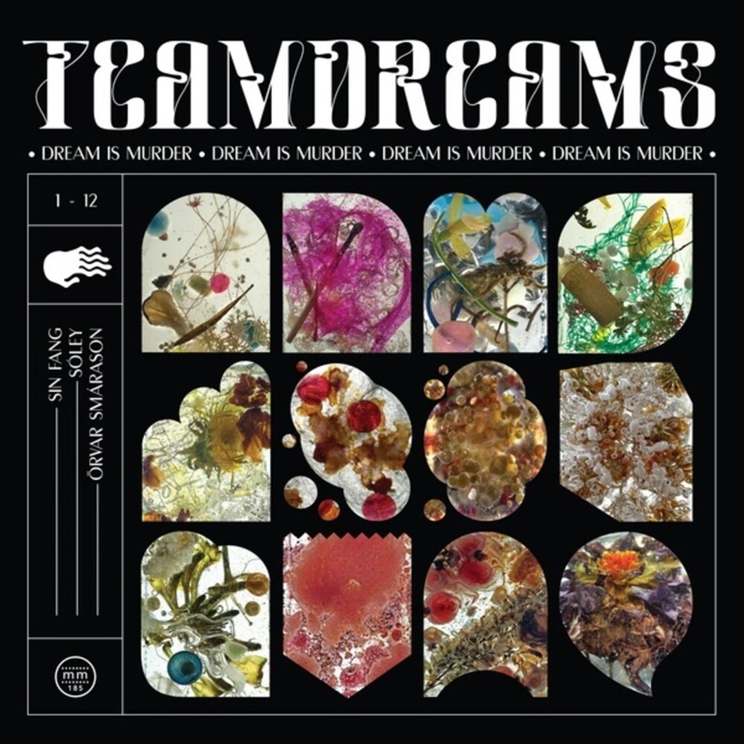 Dream Is Murder cover art
