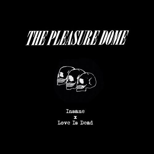 Insane/Love Is Dead cover art