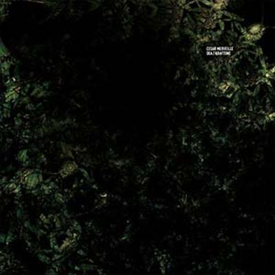 DEA cover art